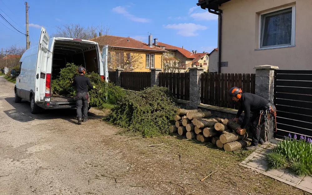 Извозване на клони след рязане — DB-Clean