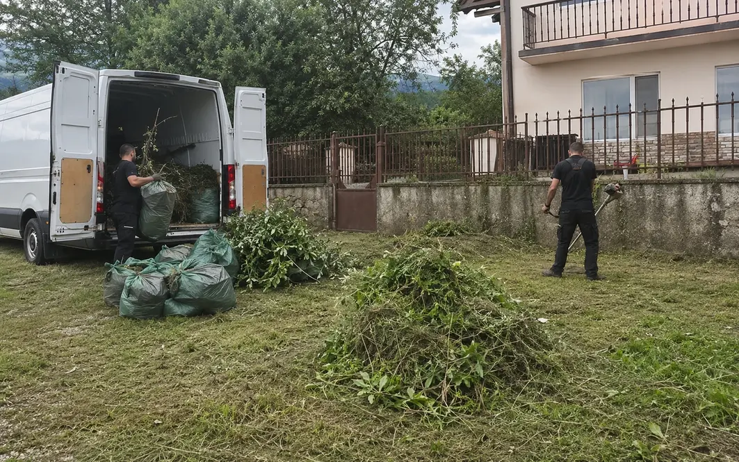 Разчистване на замърсен двор — DB-Clean